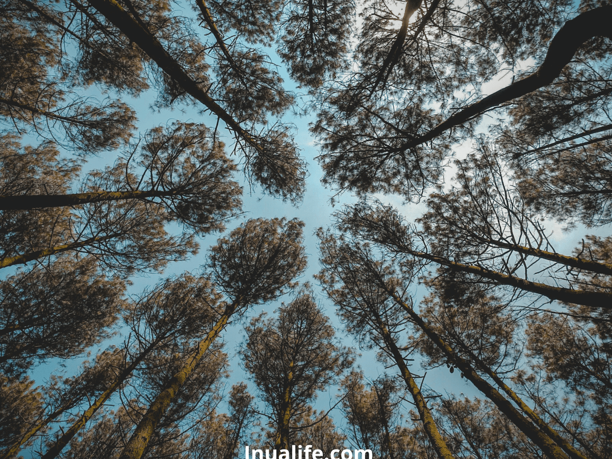 Slow down and be in the present&nbsp;moment…