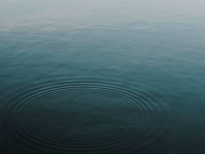 That’s family business