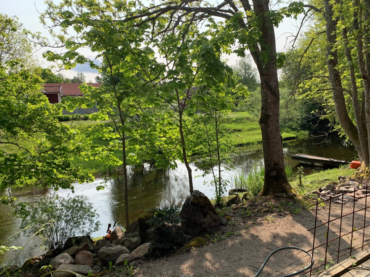 Being quietly drawn by the deeper pull of what you truly&nbsp;love